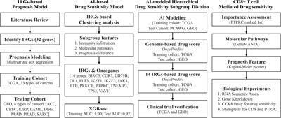 PTPRC promoted CD8+ T cell mediated tumor immunity and drug sensitivity in breast cancer: based on pan-cancer analysis and artificial intelligence modeling of immunogenic cell death-based drug sensitivity stratification